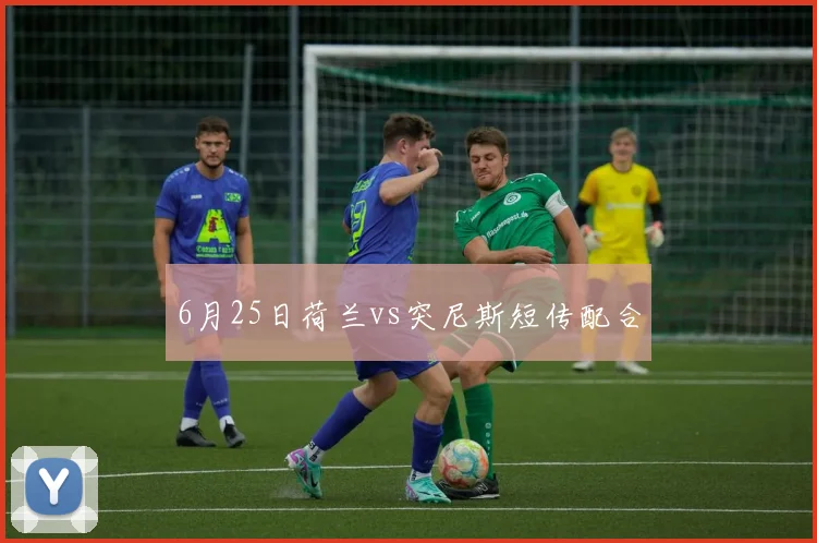 6月25日荷兰vs突尼斯短传配合