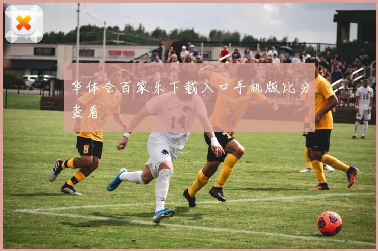 华体会百家乐下载入口手机版比分查看