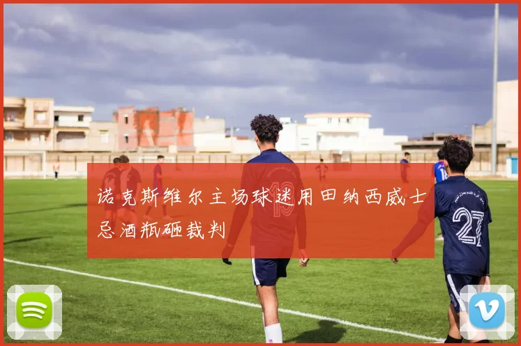 诺克斯维尔主场球迷用田纳西威士忌酒瓶砸裁判